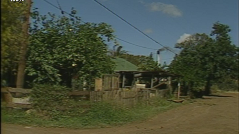 Plantation housing